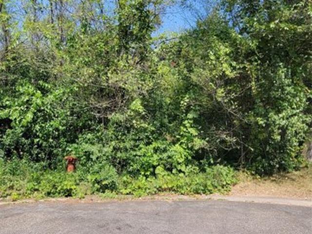Land for sale in Wisconsin