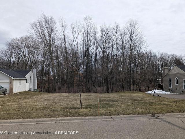 Land for sale in Ionia, Michigan