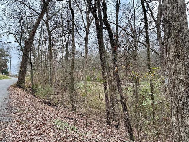 Land for sale in Tennessee