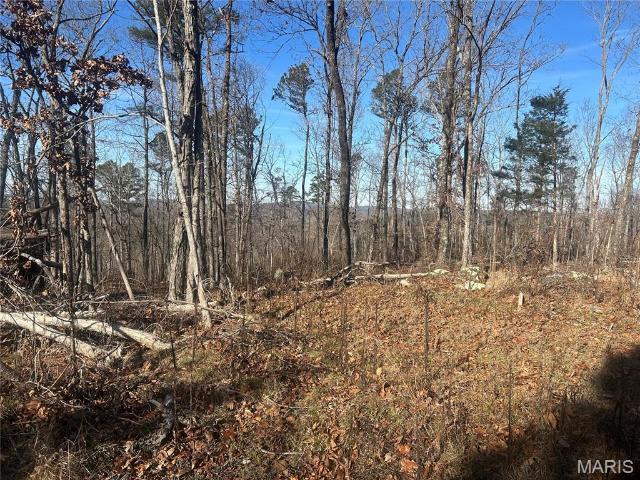 Land for sale in Fredericktown, Missouri