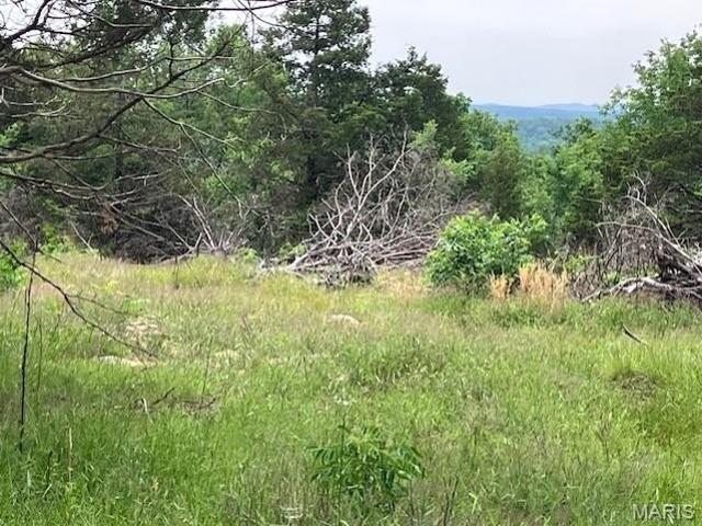 Land for sale in Fredericktown, Missouri