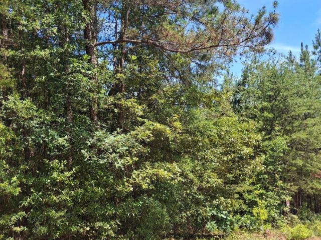 Land for sale in Pickens, South Carolina