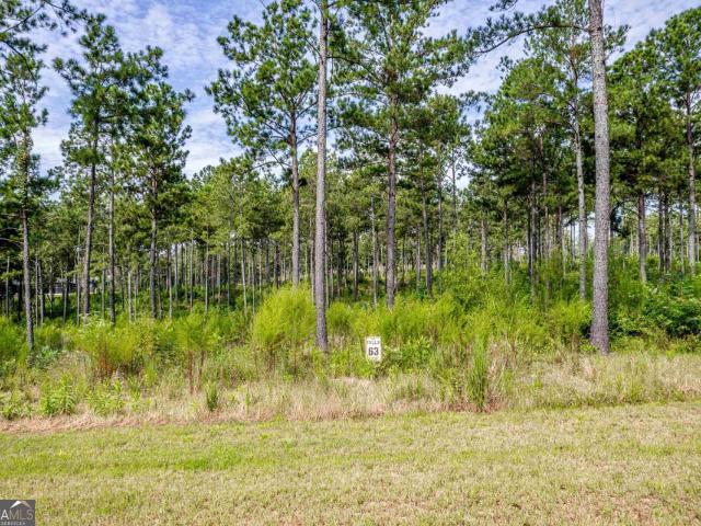 Land for sale in Baldwin, Georgia