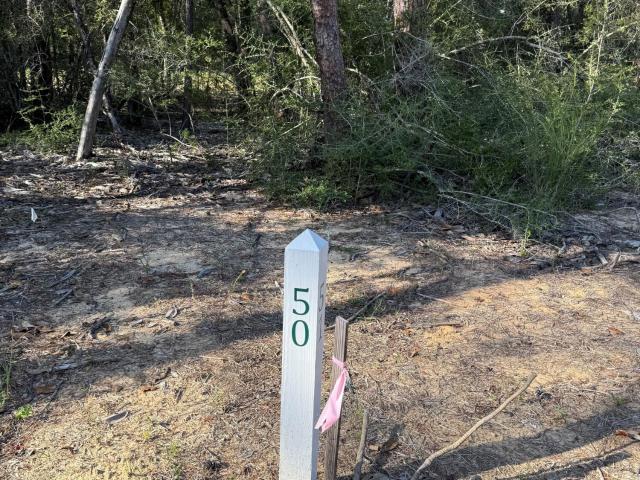 Land for sale in Niceville, Florida
