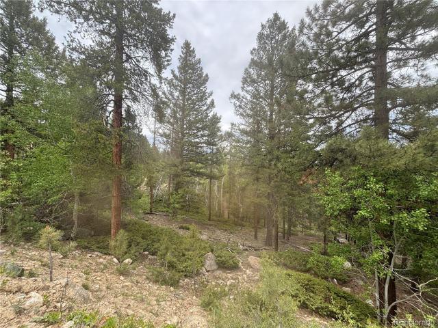 Land for sale in Buena Vista