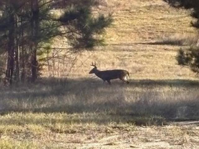 House for sale in Newton, Newton County