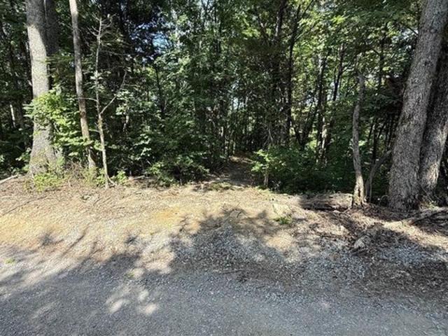 Land for sale in Burkesville, Kentucky