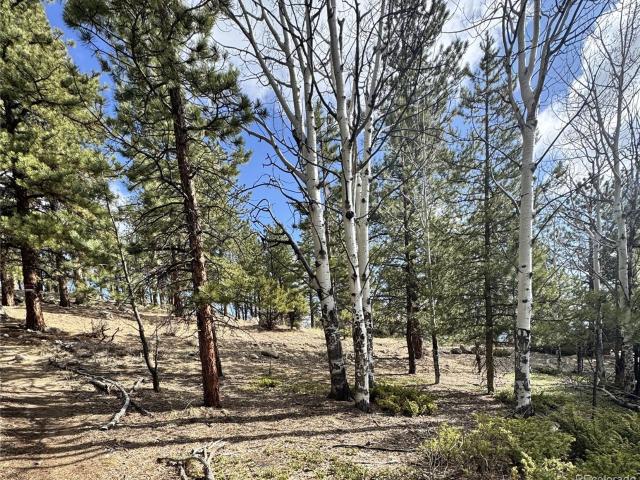 Land for sale in Buena Vista, Chaffee County