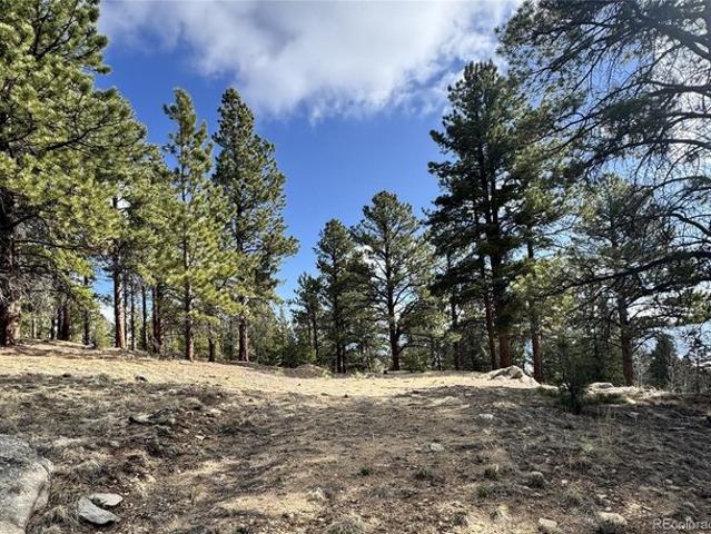 Land for sale in Chaffee, Colorado