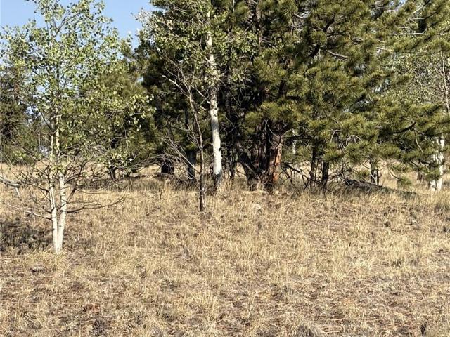 Land for sale in Colorado