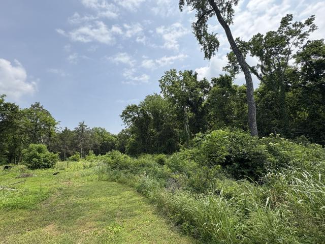 Land for sale in Tennessee