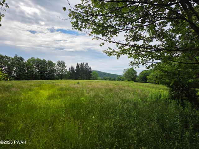 Land for sale in Belmont Corner, Mount Pleasant Township