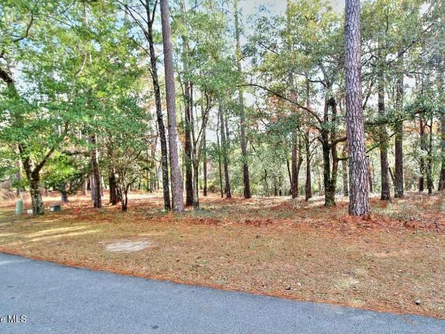 Land for sale in Bolivia, Brunswick County
