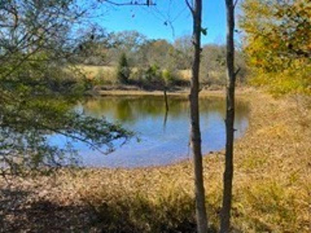 Land for sale in Opp, Alabama