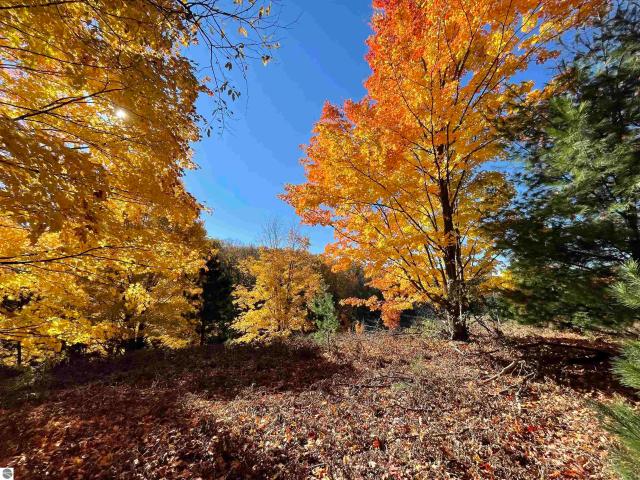 Land for sale in Michigan