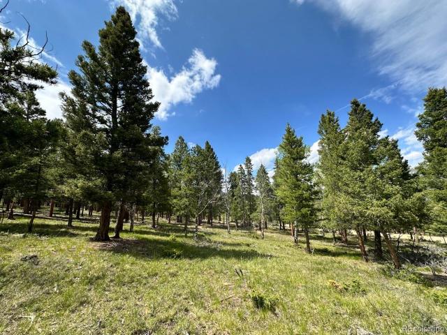 Land for sale in Buena Vista