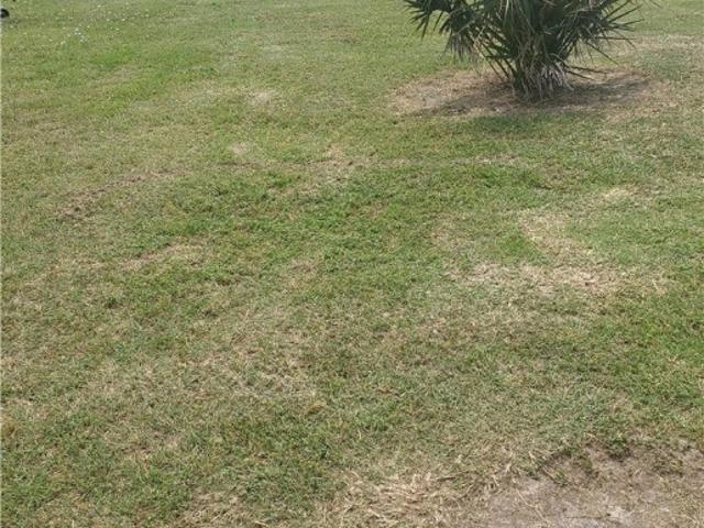 Land for sale in Calhoun, Texas