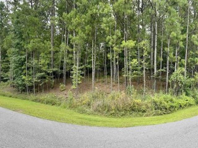 Land for sale in Chelsea, Alabama