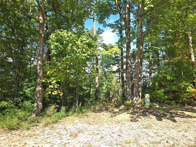 Land for sale in Transylvania, North Carolina