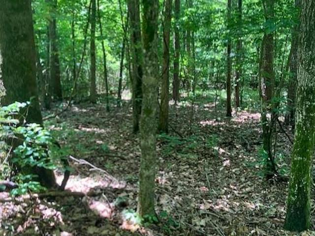 Land for sale in Fredericktown, Missouri