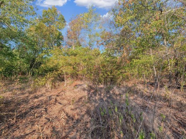 Land for sale in Mart, Texas