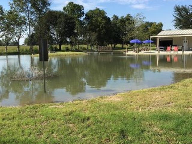 Land for sale in Rayne, Louisiana