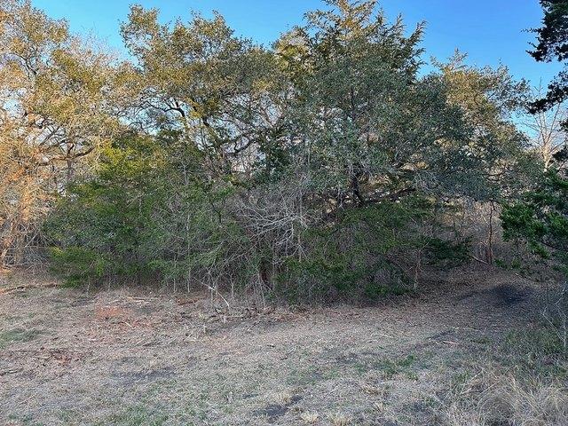 Land for sale in Flatonia, Texas