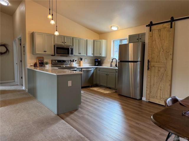 Condo for sale in Bailey, Colorado