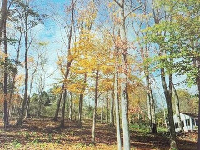 Land for sale in Waverly, Pike County
