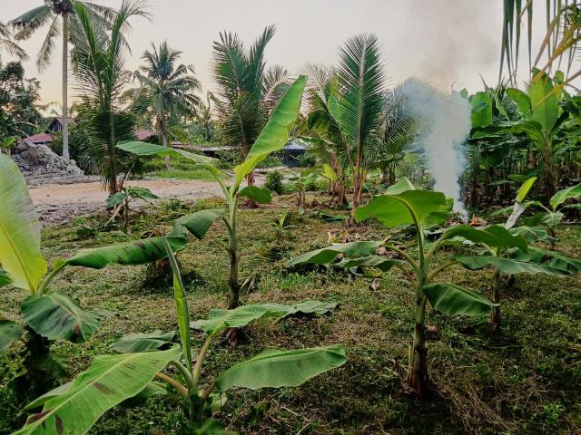 Property for sale in Sabak Bernam, Selangor