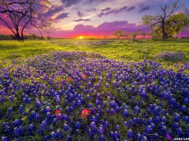 House for sale in Bulverde, Texas