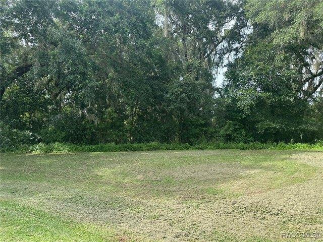 Land for sale in Hernando, Florida