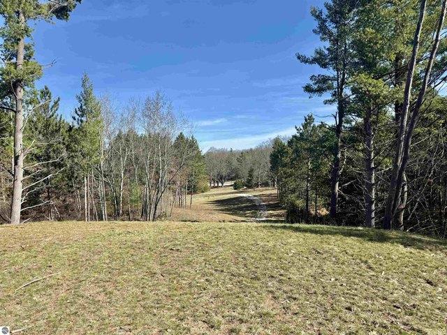 Land for sale in Williamsburg, Michigan