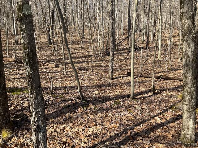 Land for sale in Binghamton, New York