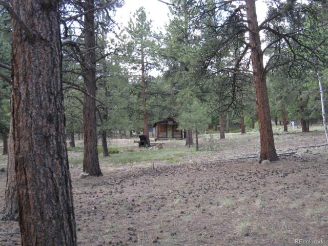 Land for sale in Buena Vista