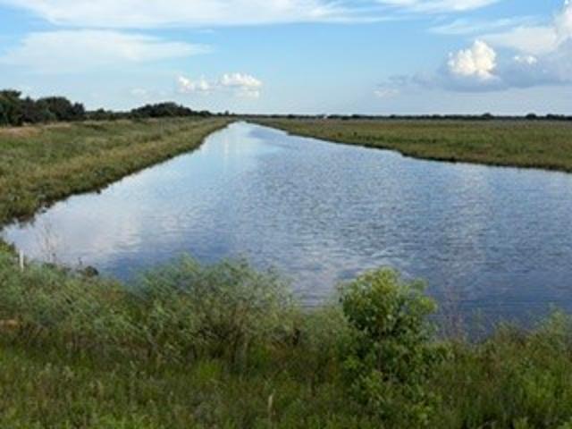 Land for sale in Columbus, Colorado County