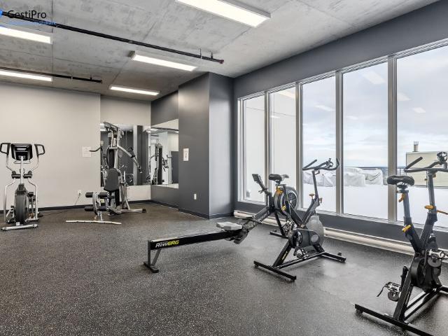Apartment for rent in Sainte-Foy–Sillery–Cap-Rouge, Québec