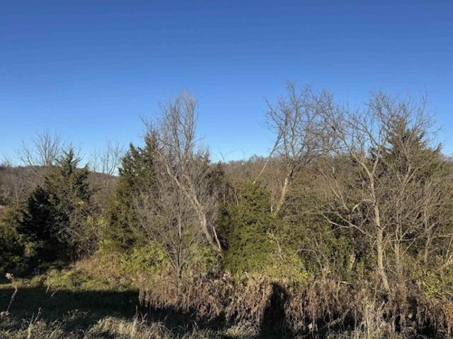 Land for sale in Decorah, Iowa