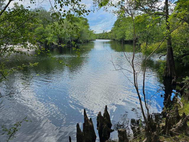 House for sale in Folkston, Georgia