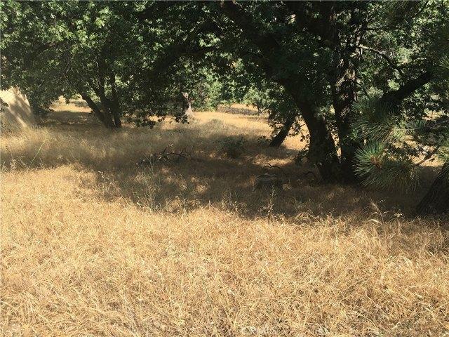 Land for sale in Green Valley Lake, California