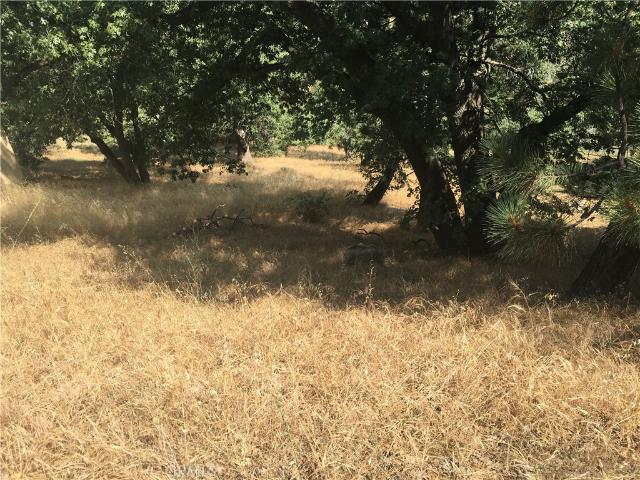 Land for sale in Green Valley Lake, California