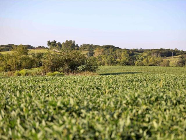 Land for sale in Bethany, Harrison County