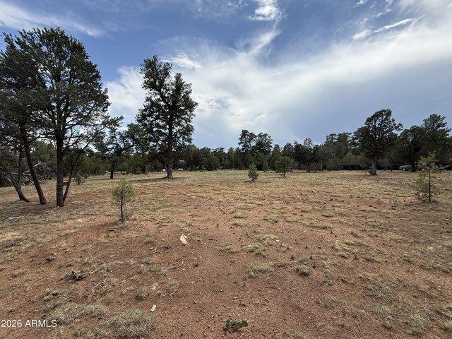 Land for sale in Navajo, Arizona