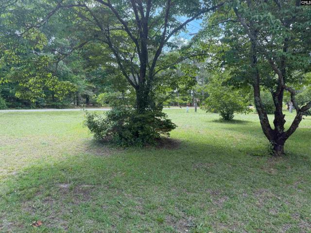 House for sale in Bethune, South Carolina