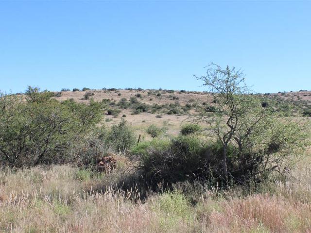 Farm for sale in Cradock, Eastern Cape