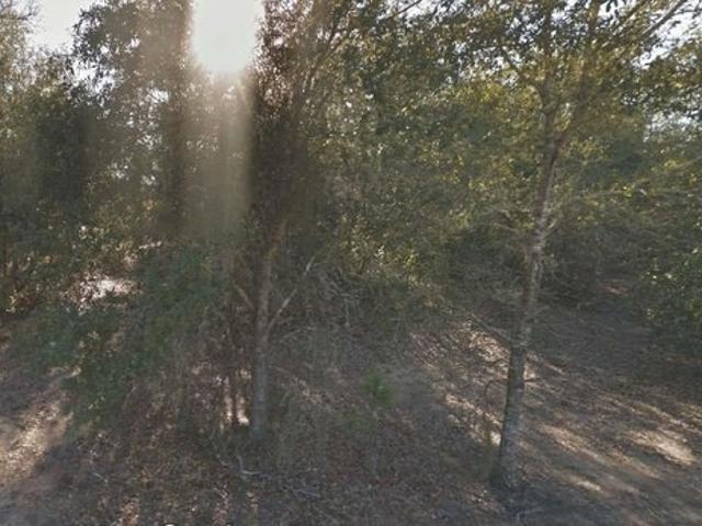 Land for sale in Interlachen, Putnam County