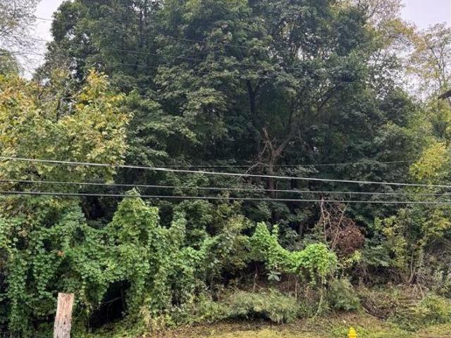 House for sale in Easton, Pennsylvania