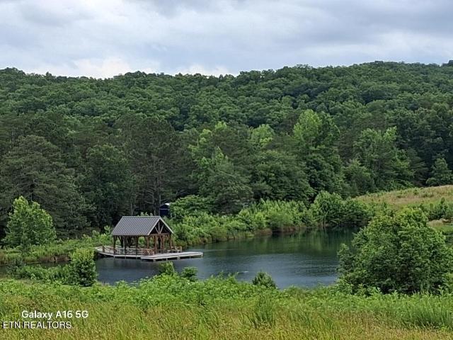 Land for sale in Tennessee