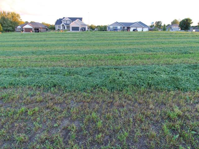Land for sale in Melrose, Minnesota