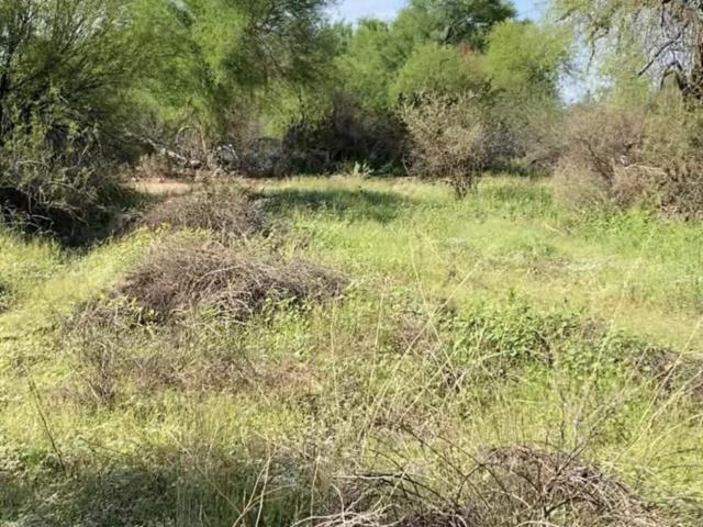 Land for sale in Gila Bend, Arizona